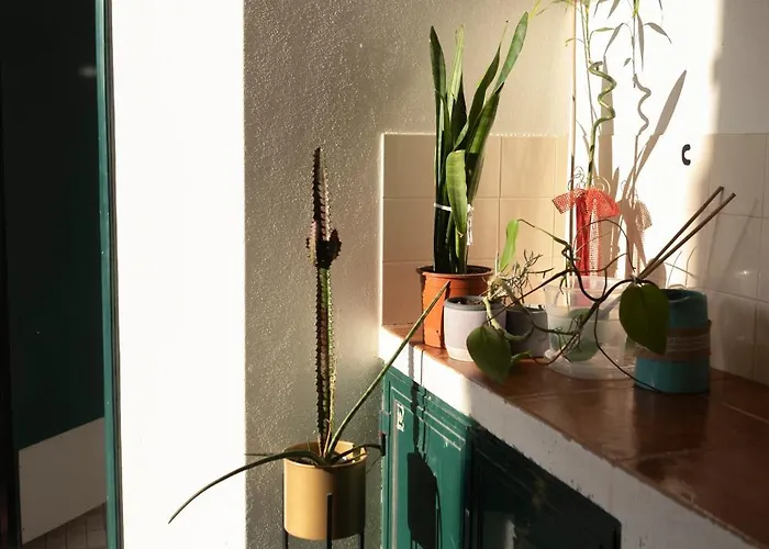 Baleal Haven - Surf, Sun & Sea 度假居